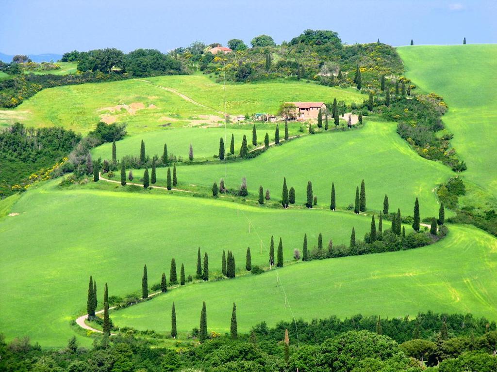 Willa Casa Maria - Dimora Di Charme Montalcino Zewnętrze zdjęcie